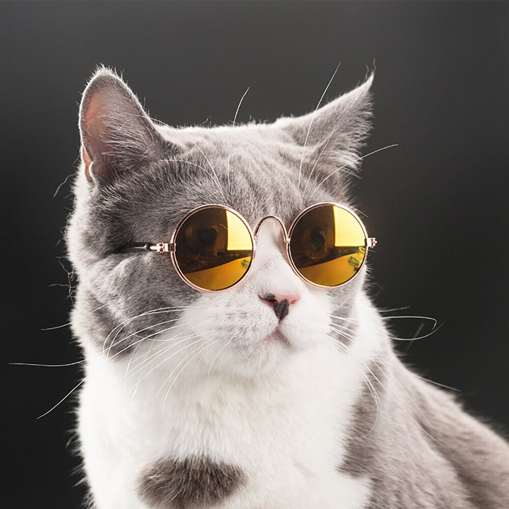Little Dog Cat Eye Wear Dog Sunglasses
