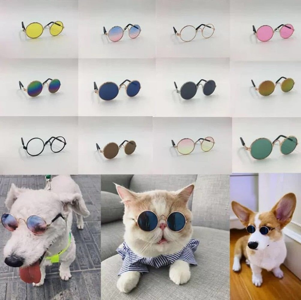 Little Dog Cat Eye Wear Dog Sunglasses