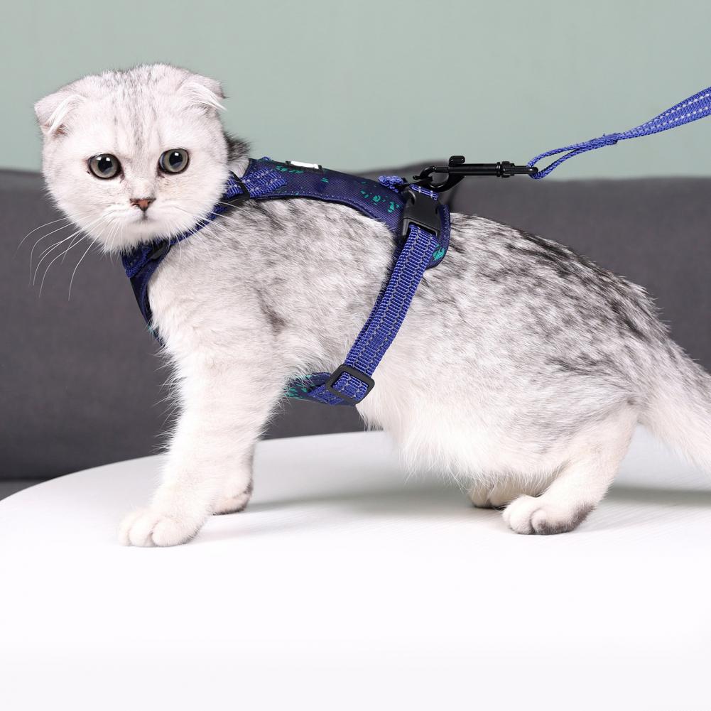 1 Set Pet Harness Anti-Escape Cats Chest Strap Traction Rope