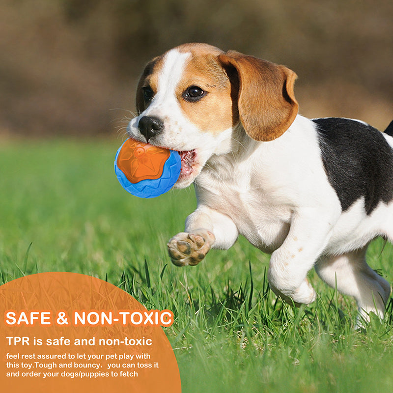 Interaction Pet Dog Toy Ball Luminous Dog Squeaky Toy