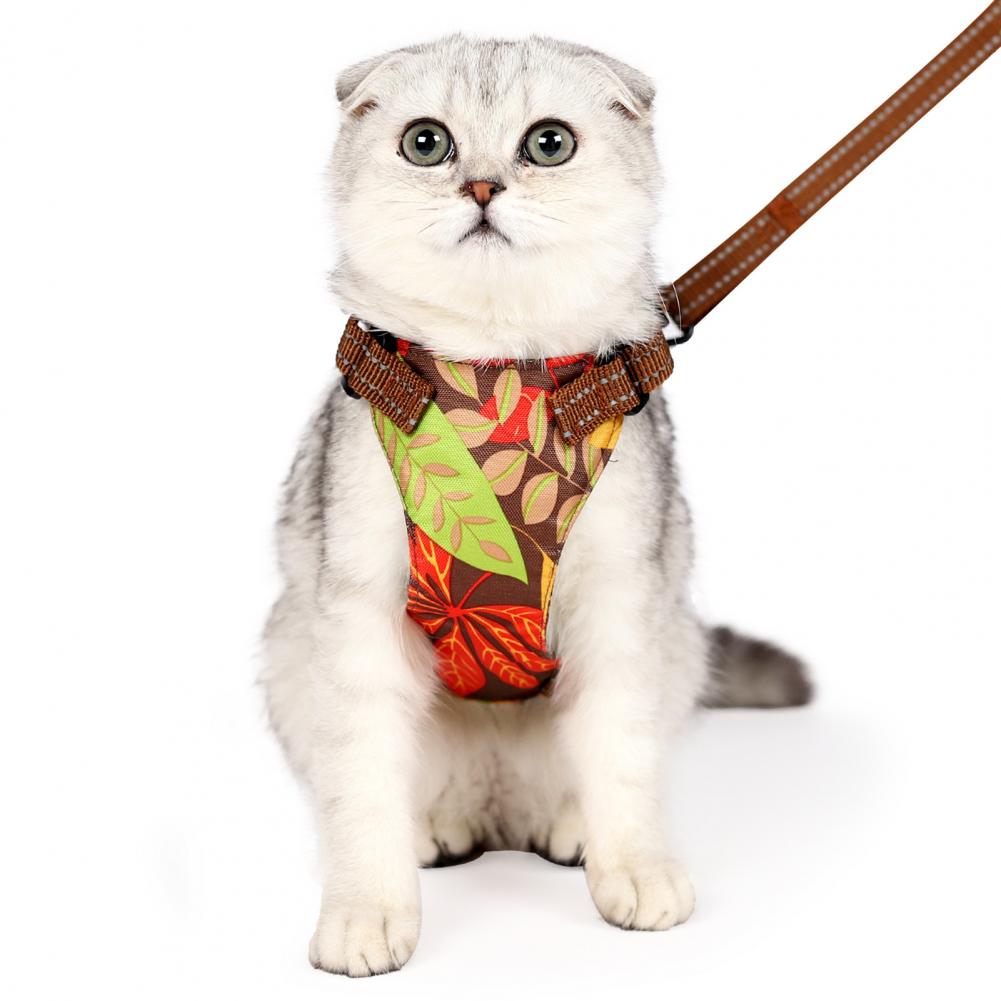 1 Set Pet Harness Anti-Escape Cats Chest Strap Traction Rope