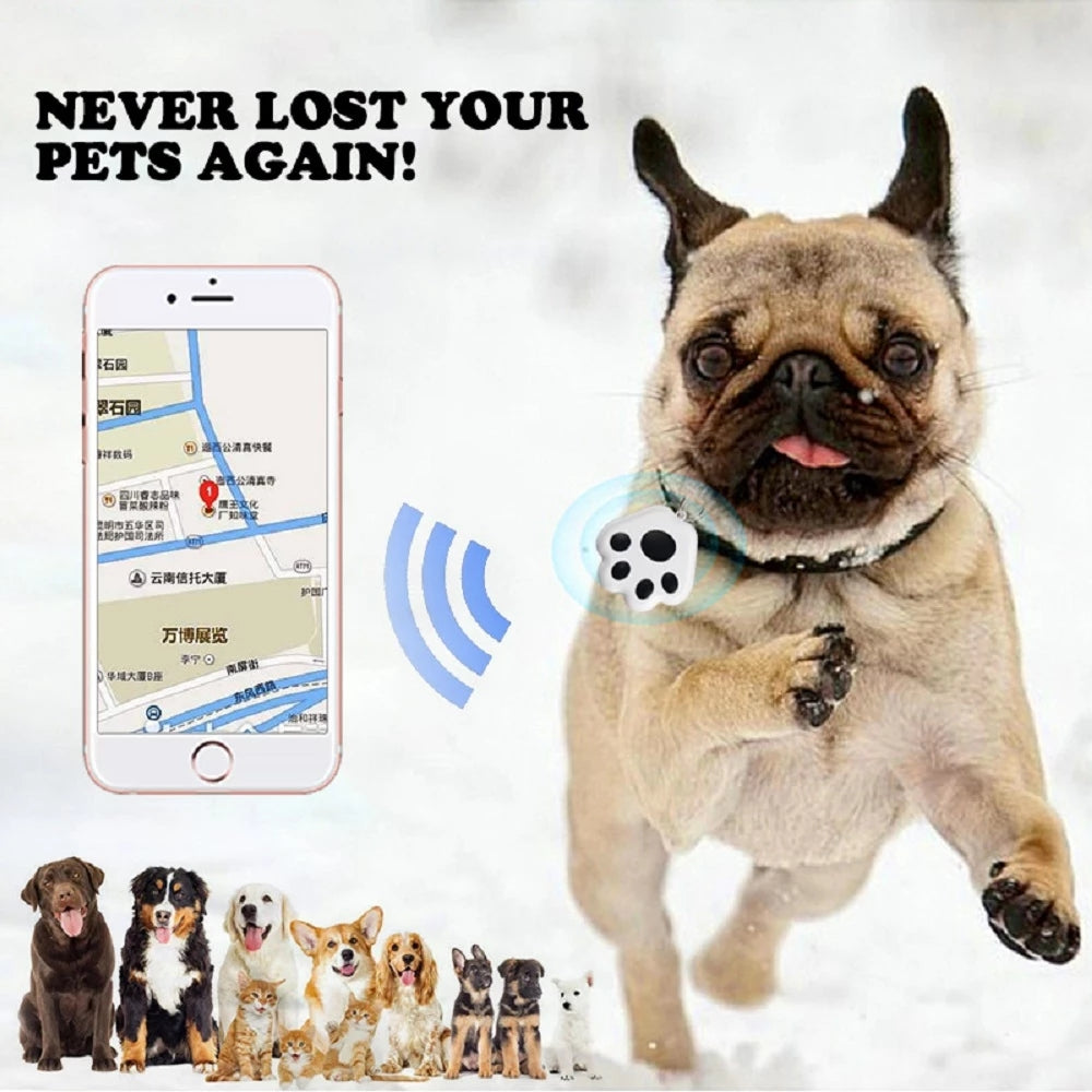Pet Tracking Wireless Bluetooth Connection Positioning Alarm Device