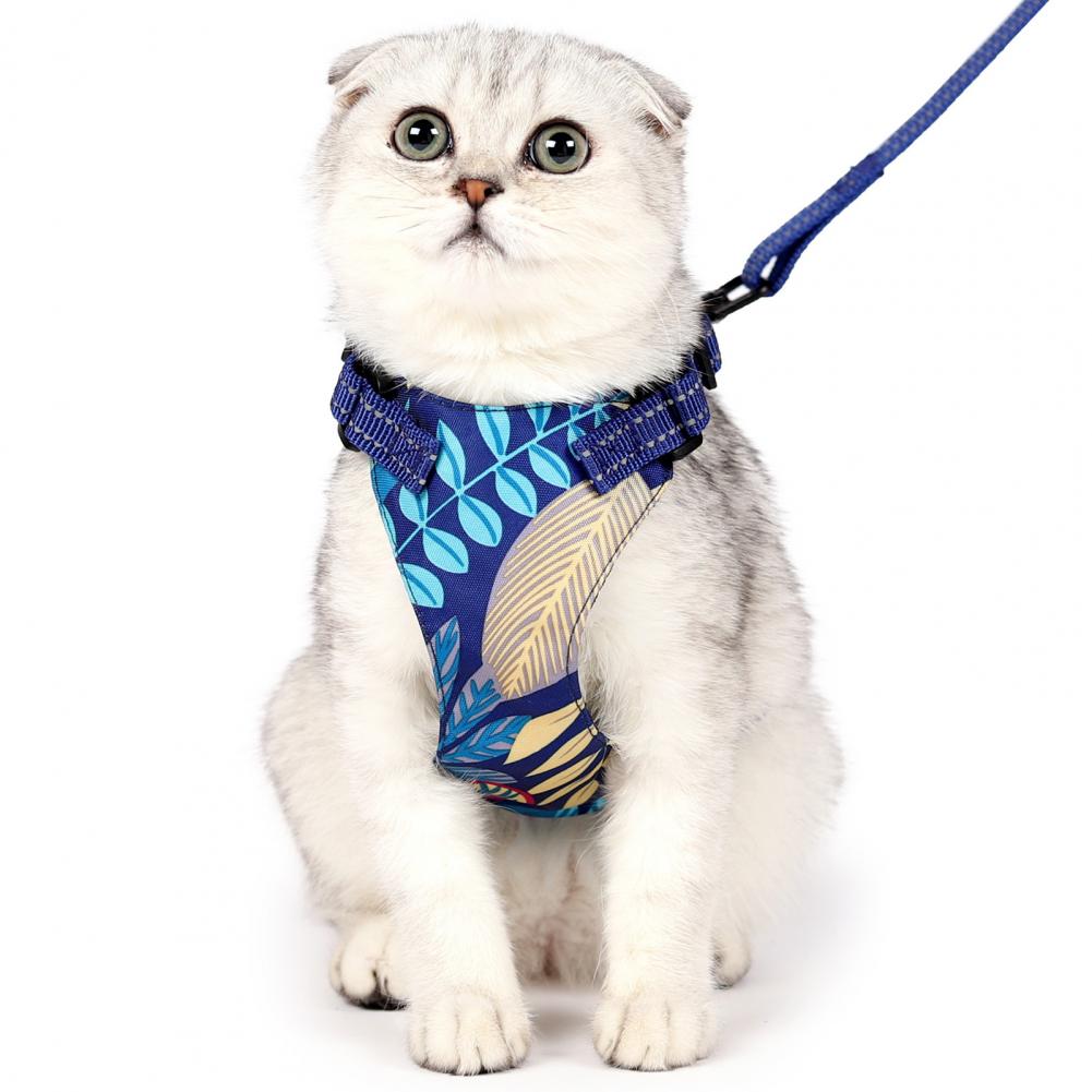 1 Set Pet Harness Anti-Escape Cats Chest Strap Traction Rope