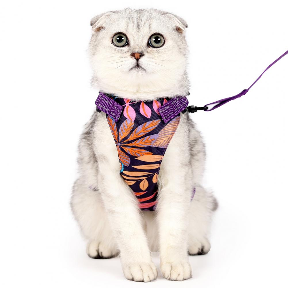 1 Set Pet Harness Anti-Escape Cats Chest Strap Traction Rope
