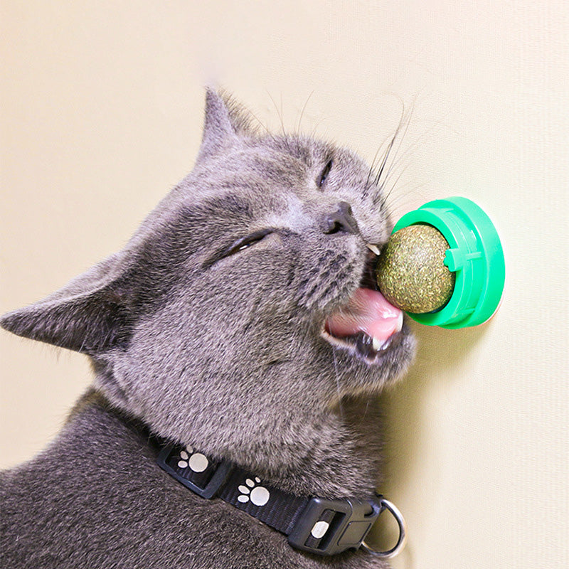 Snack Self-Adhesive Rotated Catnip Ball Molar Teething Ball Toy