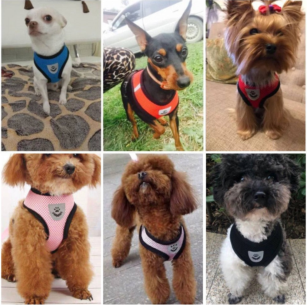 Dog Harness Cat Harness Dogs Leashs Training Soft Mesh Chest Strap