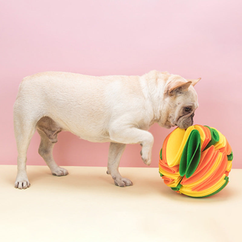 Dog Sniffing Ball Puzzle Toy Training Games Intelligence Toy