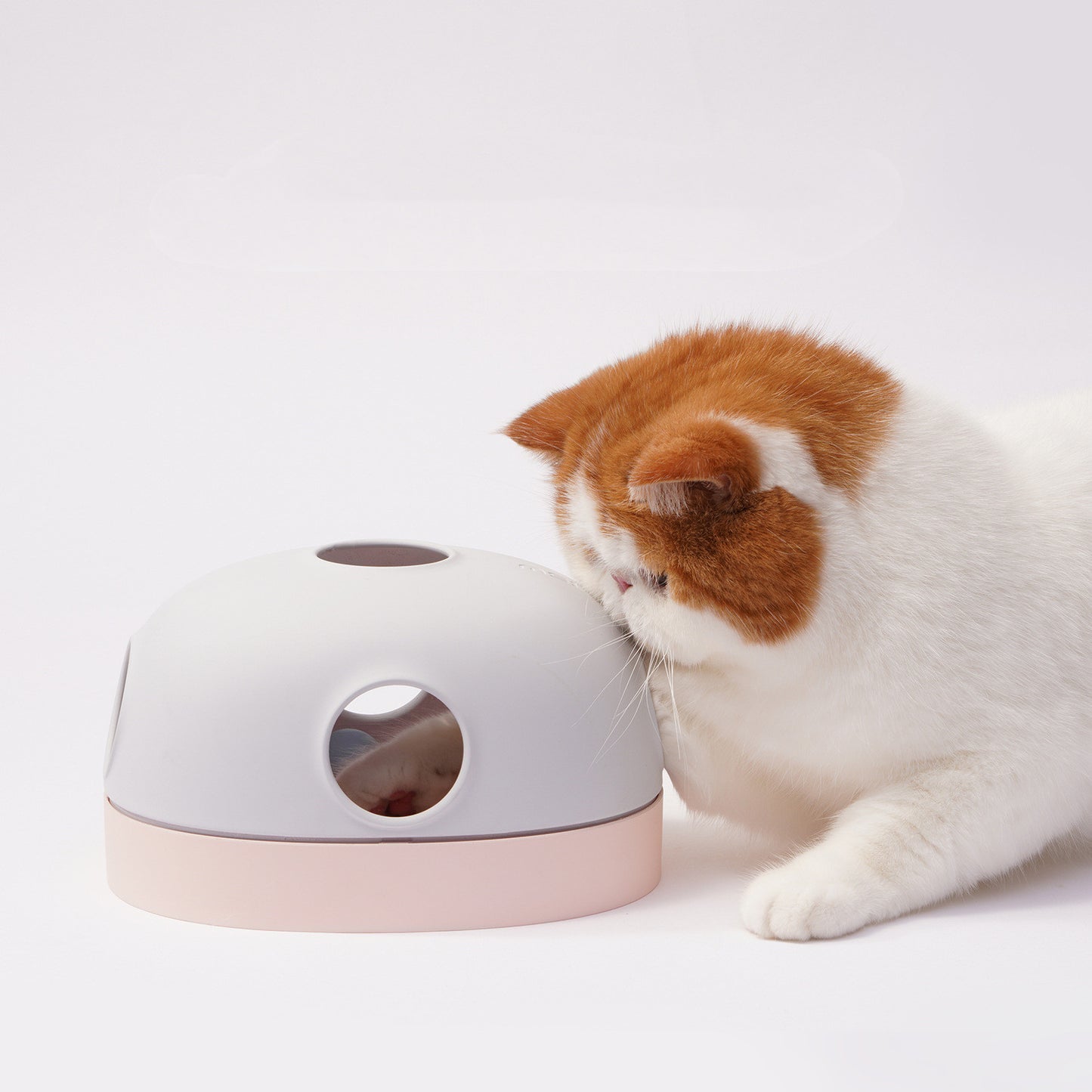 Cat Toy Track Ball 3 In 1 Pet Plush Interactive Intelligence Toys