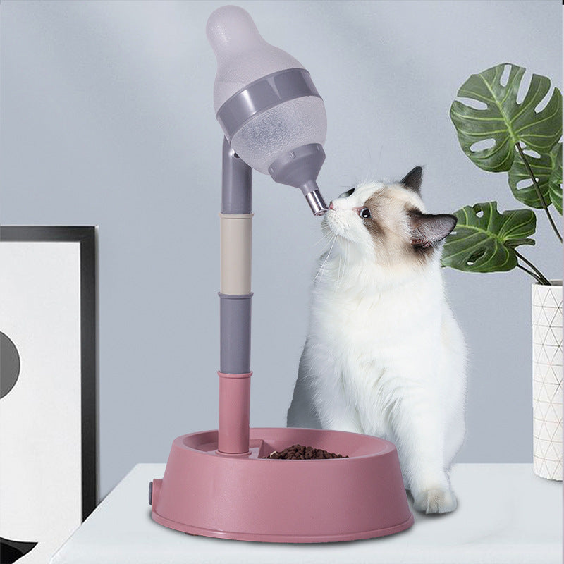Cats feedings and watering