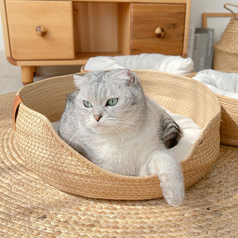 Cats Beds and House