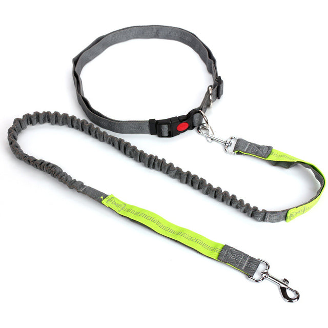 Outdoor Reflective Leash Traction Rope Pet Dog Running Belt Elastic Hand Pull Dog Leash