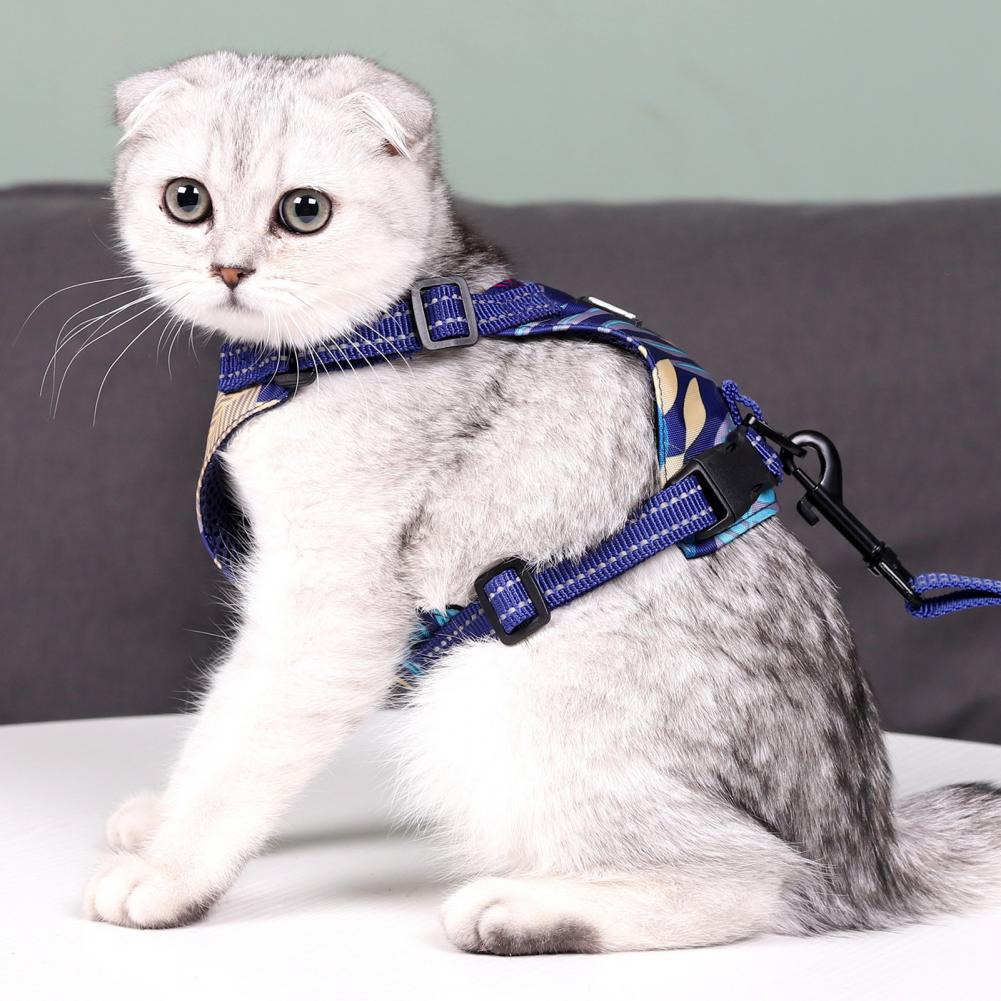 1 Set Pet Harness  Anti-Escape Cats Chest Strap Traction Rope
