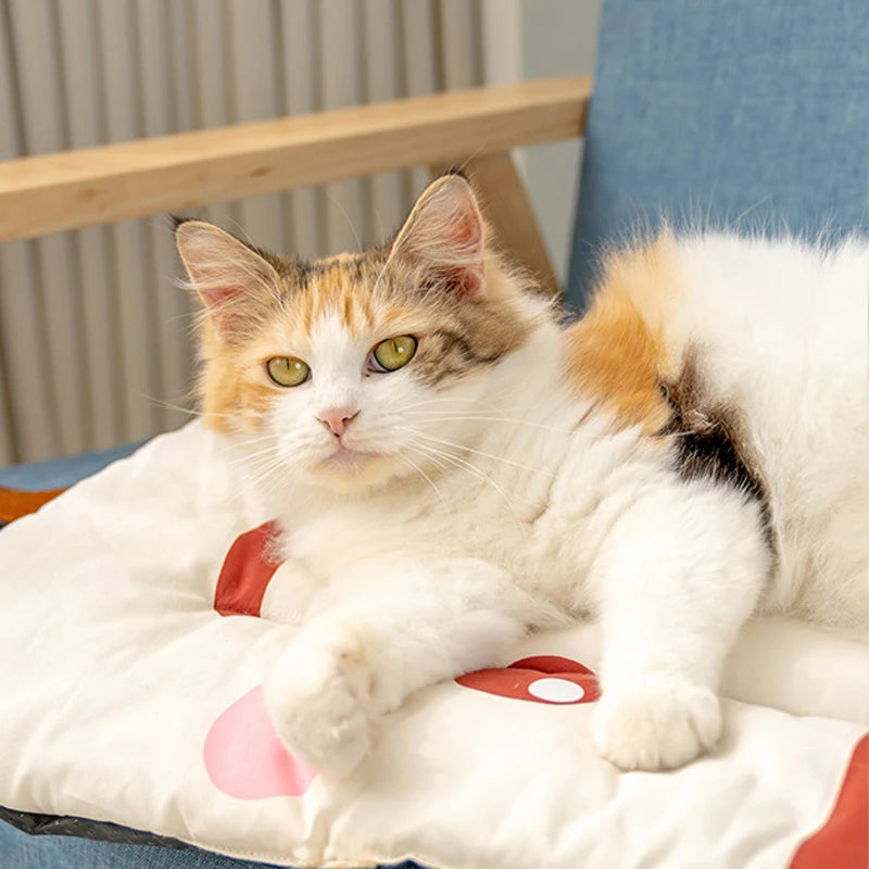 Cooling Down Pets Ice Pads In Summer Cooling Material  Mat