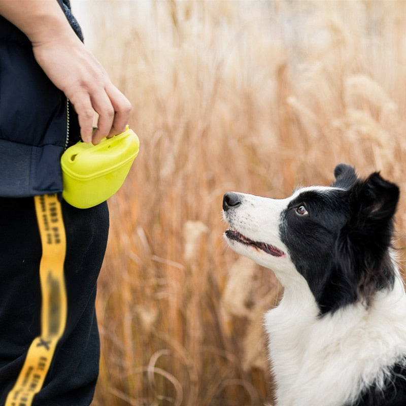 Pet Portable Dog Training Waist Bag Outdoor Feed Storage