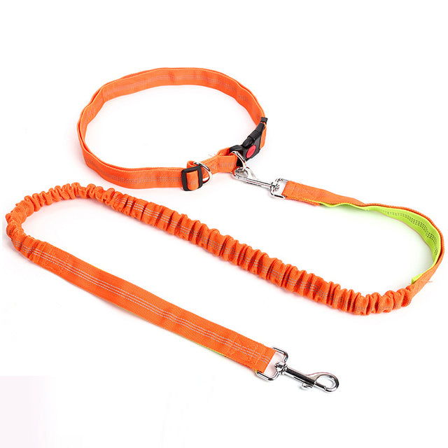 Outdoor Reflective Leash Traction Rope Pet Dog Running Belt Elastic Hand Pull Dog Leash