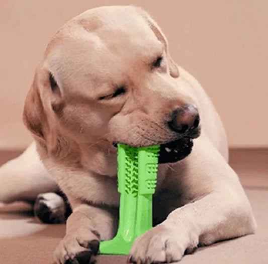 Dog Interactive Rubber Pet Chew Bite Cleaning Toys