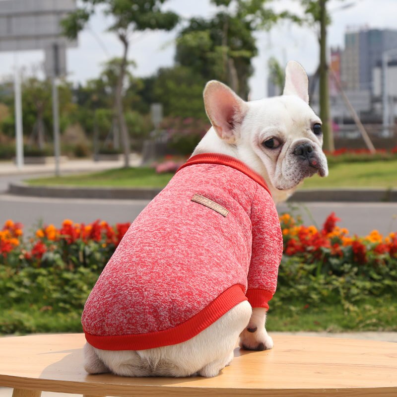 Summer Fashion Pet Puppy Sweater Sweatshirt Costume Jumpers