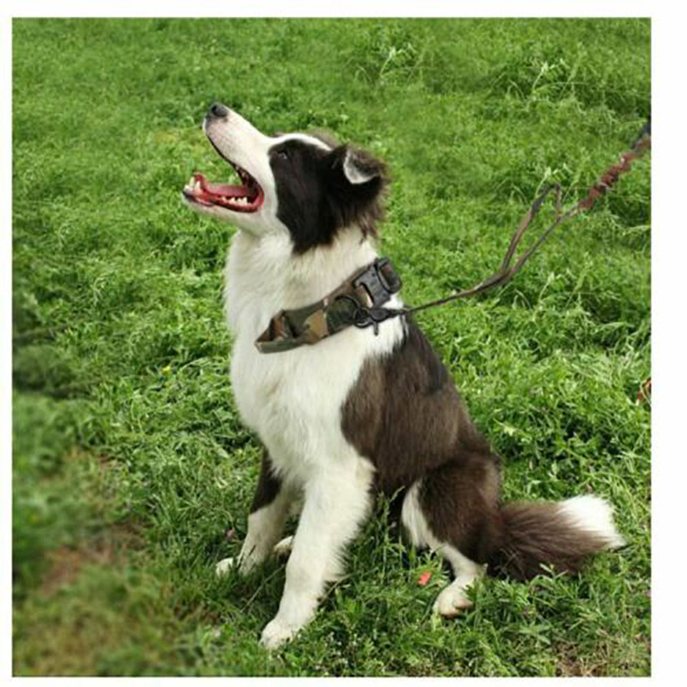 Dog Outdoor Training Thickened Collar Breathable Durable Pet Collar