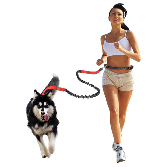 Outdoor Reflective Leash Traction Rope Pet Dog Running Belt Elastic Hand Pull Dog Leash