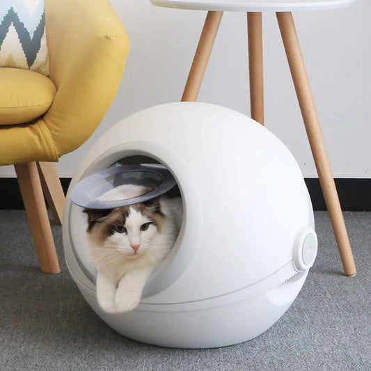 High Quality Plastic Cat Litter Box Washable Plastic Cat Litter Toilet