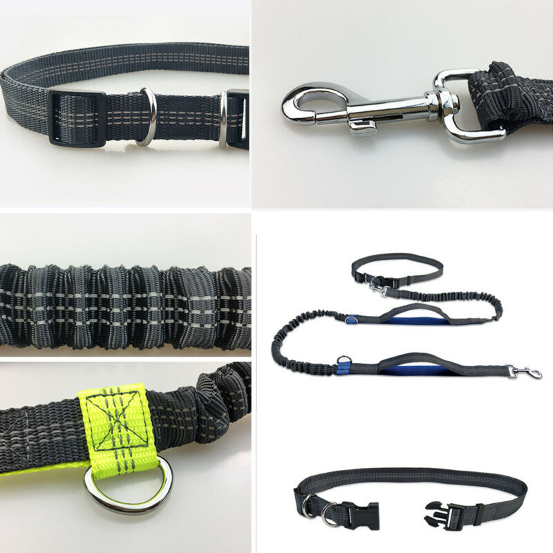 Outdoor Reflective Leash Traction Rope Pet Dog Running Belt Elastic Hand Pull Dog Leash