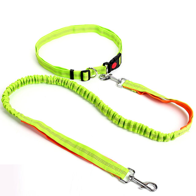 Outdoor Reflective Leash Traction Rope Pet Dog Running Belt Elastic Hand Pull Dog Leash
