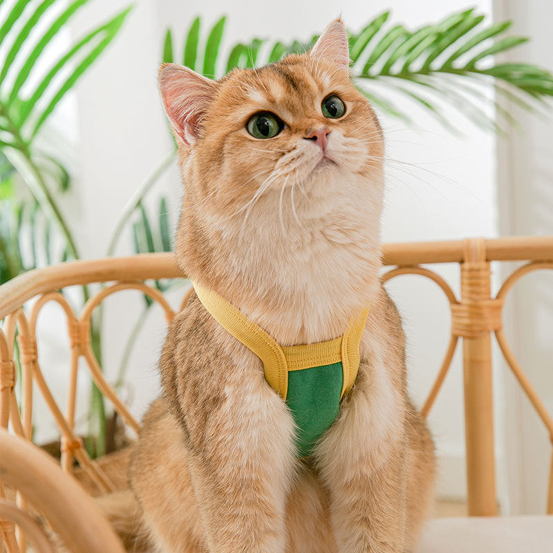 Cat Summer Cool Sling Three Bears Vest