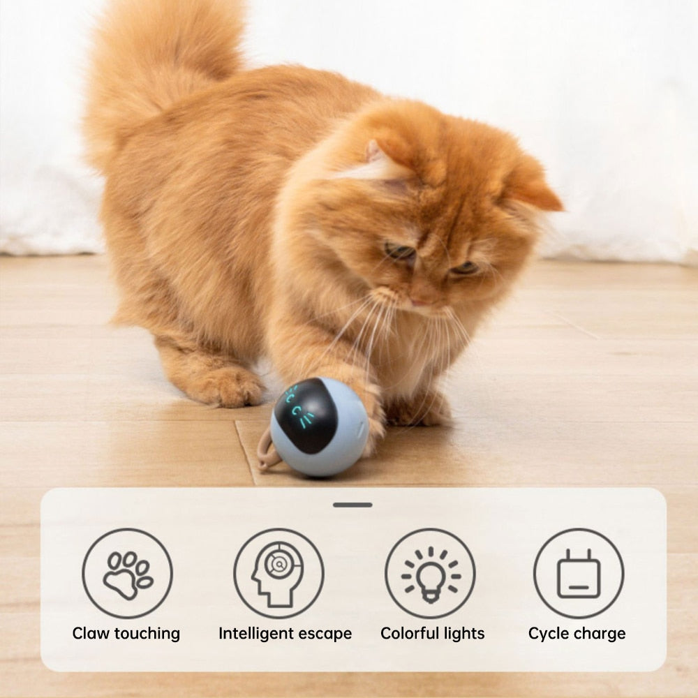 Electric USB Automatic Cat Ball Toys Interactive