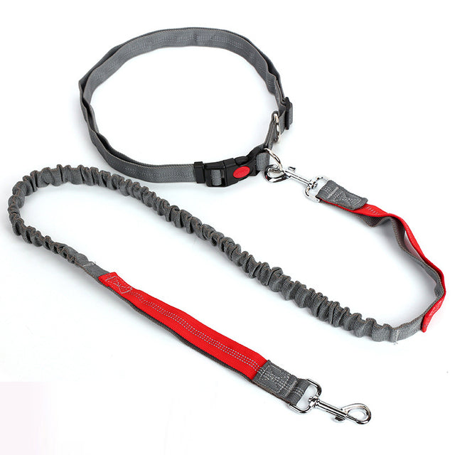 Outdoor Reflective Leash Traction Rope Pet Dog Running Belt Elastic Hand Pull Dog Leash
