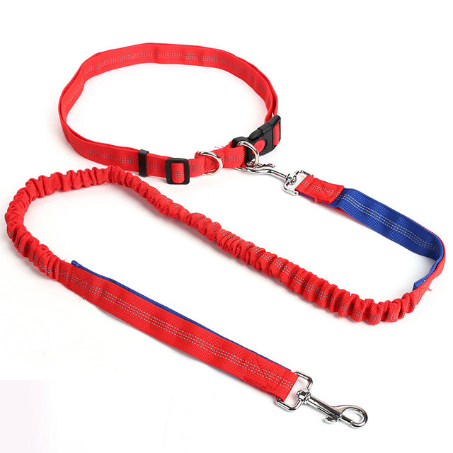 Outdoor Reflective Leash Traction Rope Pet Dog Running Belt Elastic Hand Pull Dog Leash