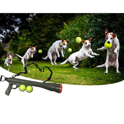 Pet Toy Gun Training Dog Launcher Remote Quick Sight Educational Toy