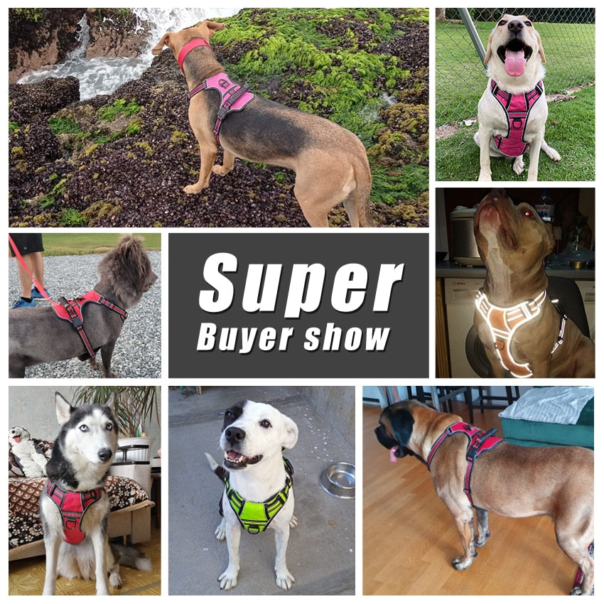 Dog Harness No Pull Breathable Reflective Pet Harness Vest