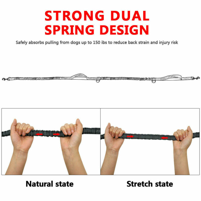 Outdoor Reflective Leash Traction Rope Pet Dog Running Belt Elastic Hand Pull Dog Leash