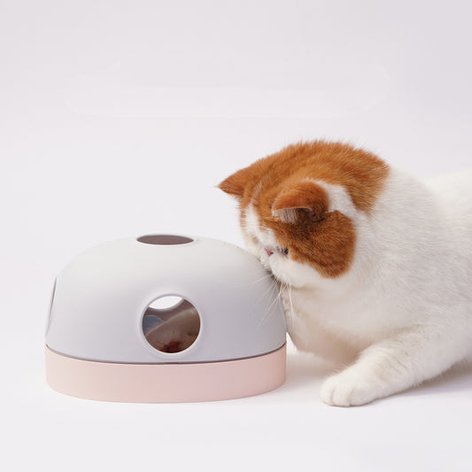 Cat Toy Track Ball 3 In 1 Pet Plush Interactive Intelligence Toys
